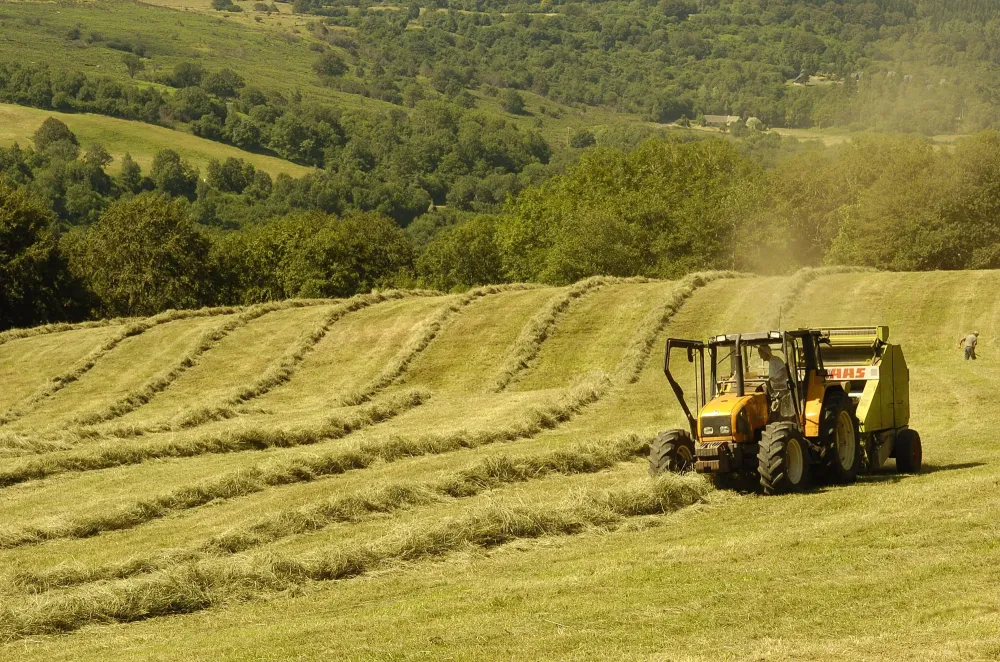 travaux agricole et fenaison (1)