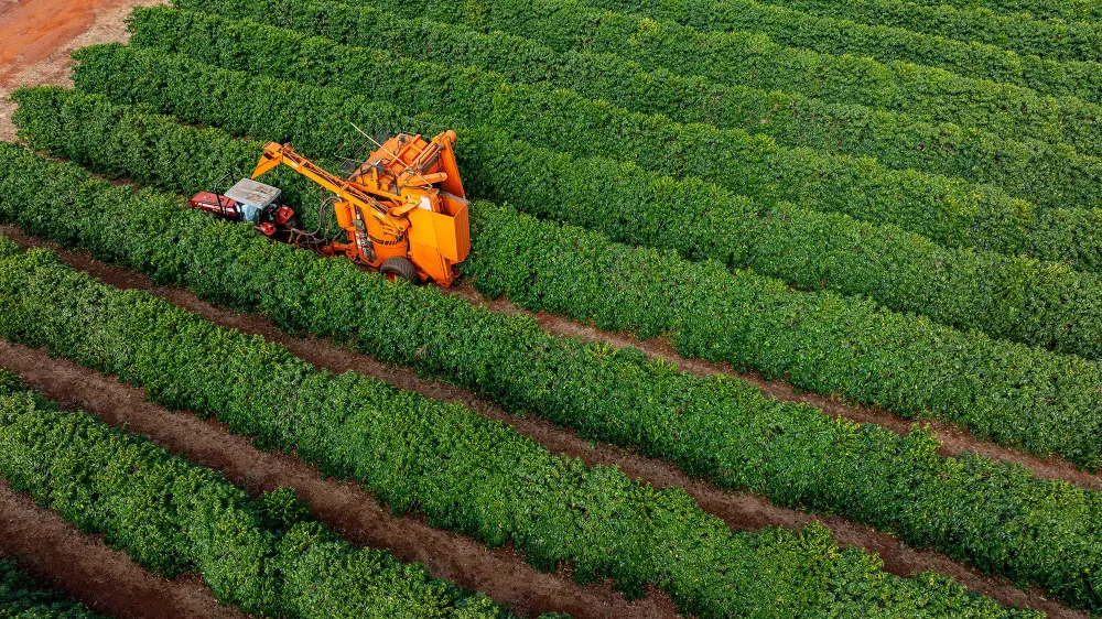 Transport de récolte près de Ans
