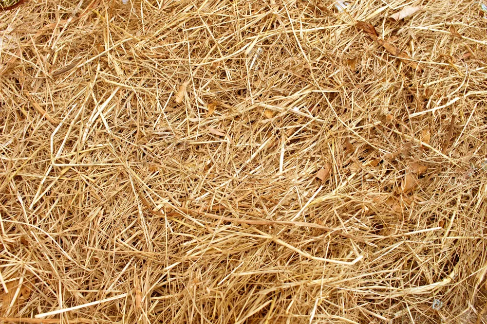 Vente de paille et de foin près de Ans