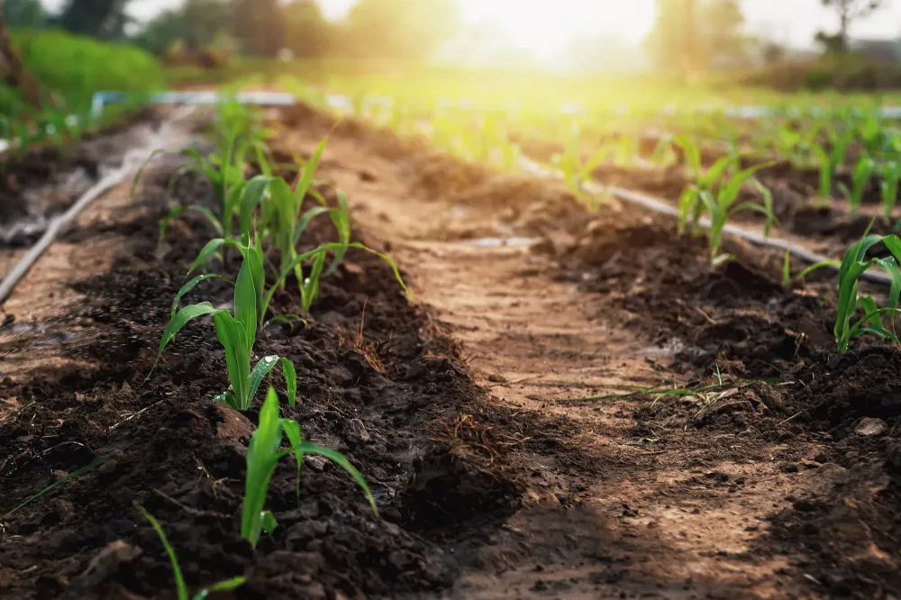 Travaux agricole près de Ans