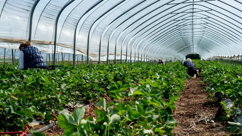 agriculture biologique (1)